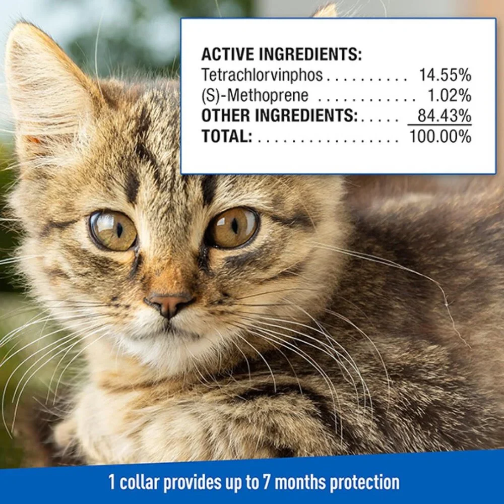 New Flea and Tick Collar for Cats Breakaway Design 7 Month Protection